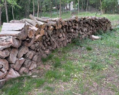a Variety of wood, been cut dried and ready for your winter heat.  60' long and 4+' high. $200. for all of it!