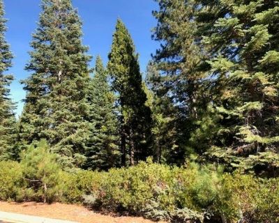 Land For Sale in LAKE ALMANOR, CA