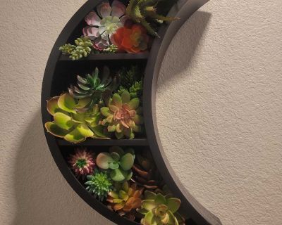 Moon shelf with succulents