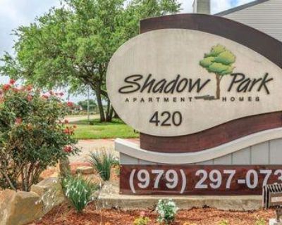 1 Bedroom 1BA 536 ft² Home For Rent in Lake Jackson, TX