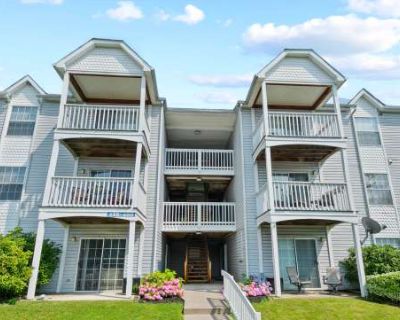 1 Bedroom 1BA 976 ft Pet-Friendly Apartment For Rent in Luzerne County, PA