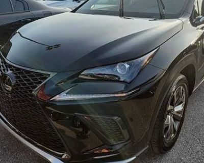 2019 Lexus NX 300