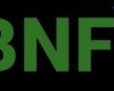 BNF Consulting, Inc.