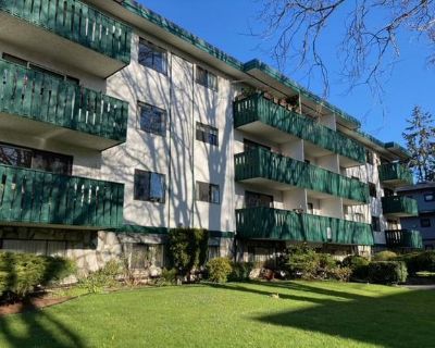 Charming One-Bedroom Unit for Rent in Cook St. Village, Victoria, BC** Discover the perfect urban oasis in the heart of Cook St. Village! This delightful top floor corner one-bedroom suite boasts an open and inviting layout and your own sunny balcony, offering breathtaking views of the iconic Olympic Mountains perfect for morning coffee or evening relaxation. Redwood 302 brown kitchen faces Coo...