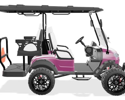 2025 NEVO Electric Vehicles L4 Electric Golf Carts New York, NY