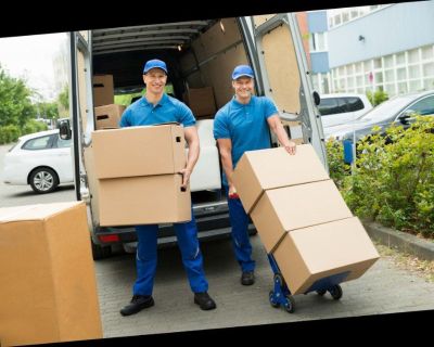 Our team of pros has been serving the Southwest FL community for over twenty years right from our domestically owned and operated base in Bonita Springs, FL. If you're trying to find associate degree skilled as moving and Storage Company in Southwest FL. decision 239-948-455028741
https://www.flmovingandstorage.com/