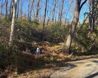 Heidel Rd Lot,robesonia, Plot For Sale
