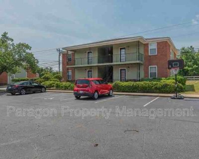 2 Bedroom 1BA 850 ft Furnished Pet-Friendly Apartment For Rent in Augusta, GA