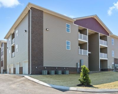 1 Bedroom 1BA 879 ft Apartment For Rent in Clarksville, TN