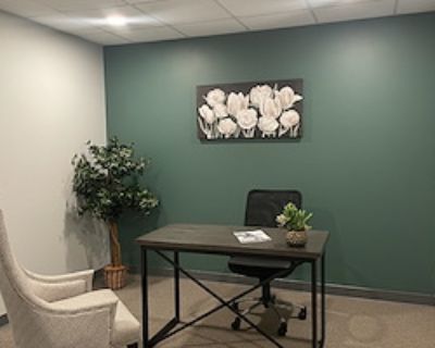Private Office for 2 at The Meeting Space at EI