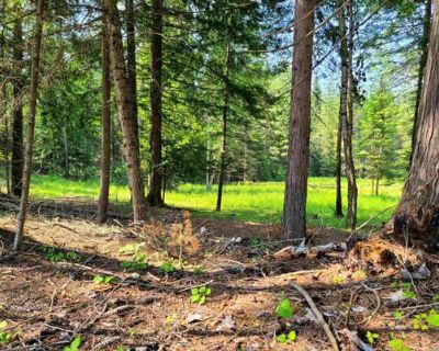 Unimproved Land For Sale in SAGLE, ID