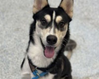 Health Vaccinations up to date.. Young Male Medium