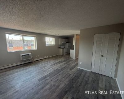 1 Bedroom 1BA 640 ft Pet-Friendly Apartment For Rent in Westminster, CO