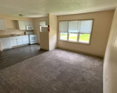 1 Bedroom 1BA 832 ft Pet-Friendly Apartment For Rent in Marshalltown, IA