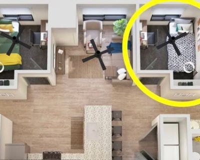 Furnished Room for Rent - Hornet Commons On Campus Apartment Housing (MALE)