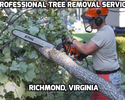 Tree removal demands significant expertise to ensure that the tree is removed safely. It is one of the most dangerous jobs in tree care especially when a hazardous tree is located near your home.

Let Tree Removal Service in Richmond, Virginia handle the task for you. Contact us at 804-207-5569.

Website: -  https://www.richmondvatreetrimming.com/tree-removal.html