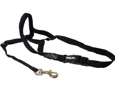 dog collars ,leashes and harness