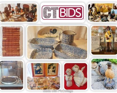 CTBIDS In-Home Online Auction I CALLE CADENA I Ends TUES-05/30, PU FRI-06/02 I 85715
