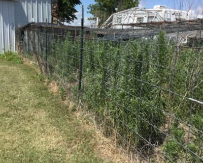 Craigslist - Farm and Garden Equipment for Sale Classifieds in Joplin