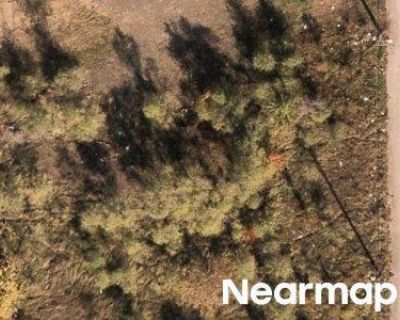 5 Bed Foreclosure Property in Gary, IN 46402 - Jefferson St