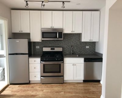 0 Bedroom 1BA Pet-Friendly Apartment For Rent in Chicago, IL