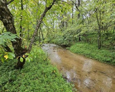 Land For Sale in BOONES MILL, VA