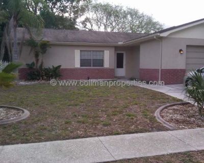 3 Bedroom 2BA 1505 ft Furnished Pet-Friendly Apartment For Rent in Palm Harbor, FL