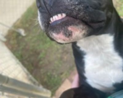 Callum M is looking for a New Roommate in Dallas with a budget of $1000.00