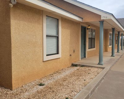 2 Bedroom 2BA 950 ft Apartment For Rent in Clovis, NM