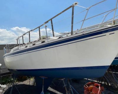 1985 O Day 35 for sale at Port Jefferson NY. For more photos and details visit the full listing at BoatCrazy where you can also contact the seller with questions.