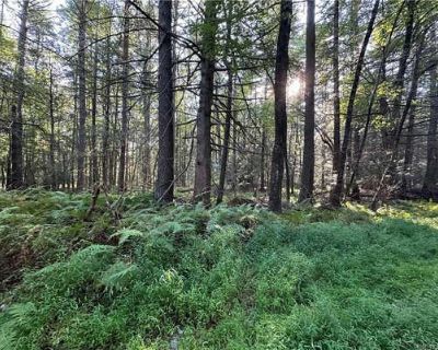 Unimproved Land For Sale in BARRYVILLE, NY