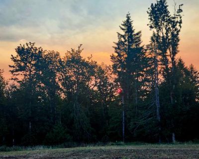 We are a small family my husband and I, our son who is finishing school, and our pets looking for a pet-friendly full house with a suite. We d like a home with a suite so we can help support our responsible daughter and her boyfriend while she returns to school to further her career and he continues working full-time. My husband also works full-time, and I m retired after 24 years in Healthcare...