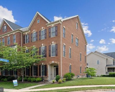 Clarendon Sq, Ashburn, Home For Rent