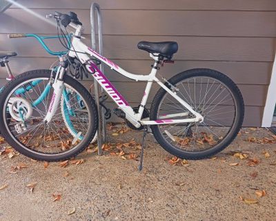 Craigslist 2024 mountain bike