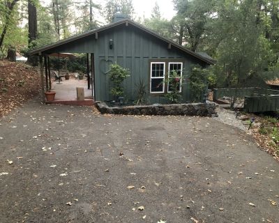 Cozy cottage in woodsy haven - 2 miles from downtown Calistoga - Calistoga