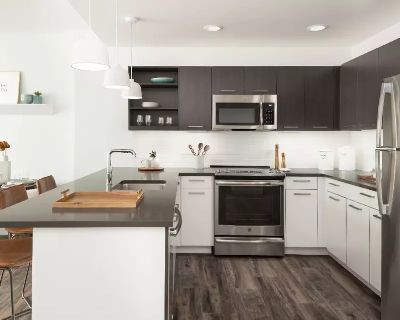 1 Bedroom 1BA 743 ft Pet-Friendly Apartment For Rent in Boston, MA