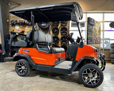 2025 Denago EV Nomad Electric Golf Carts Sterling, IL