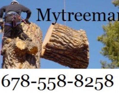 🌂😁 TREE SERVICE TREE REMOVAL TREE SERVICES 678-558-8258