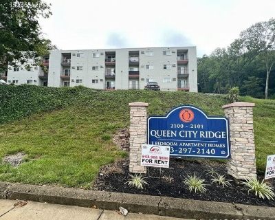 1 Bedroom 1BA 600 ft Pet-Friendly Apartment For Rent in Cincinnati, OH