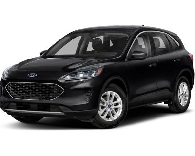 Used Ford Cars, Trucks For Sale Denver | Phil Long