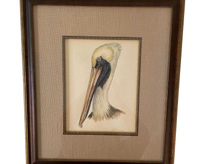 Hand Painted Watercolor of a Pelican Head, Framed