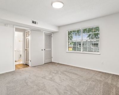 1 Bedroom 1BA 675 ft Pet-Friendly Apartment For Rent in Greenville, SC