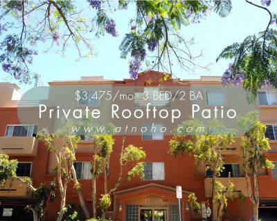 Large 3 Bed/2 Ba - Private Rooftop Patio