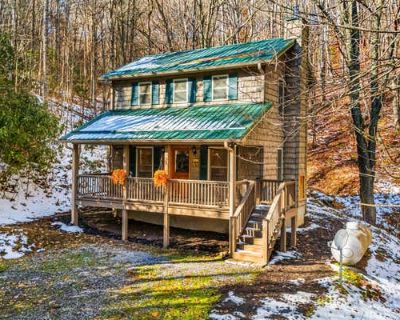 1 Bedroom 2BA 854 ft Single Family Home For Sale in HOT SPRINGS, NC