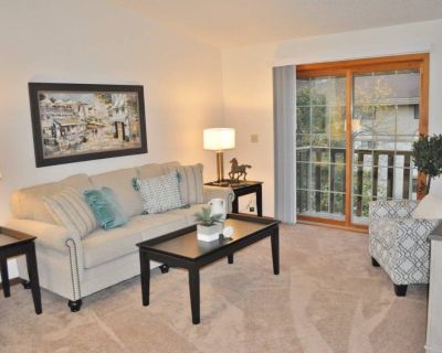 1 Bedroom 1BA 550 ft Pet-Friendly Apartment For Rent in Wausau, WI