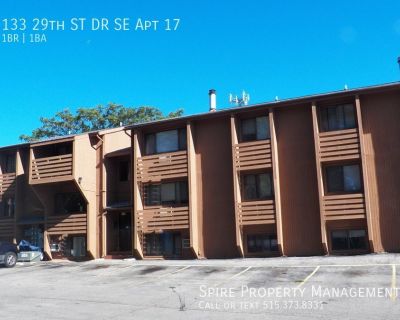 1 Bedroom 1BA Pet-Friendly Single-family home For Rent in Cedar Rapids, IA