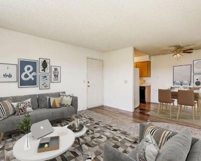 1 Bedroom 1BA Pet-Friendly Apartment For Rent in Rancho Cordova, CA