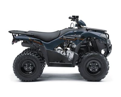 2025 Kawasaki Brute Force 300