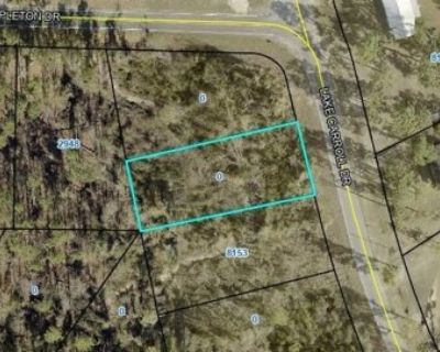 Lake Carroll Dr Lot Lc, Donalsonville, Plot For Sale