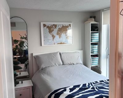 Igor (Has a Condo) on iROOMit. Room in the 2 Bedroom 1BA Apartment For...